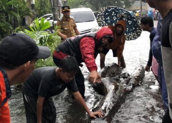 Hujan Lebat Tak Menyurutkan Camat Tallo Bantu Warga Menyingkirkan Batang Pohon di Jalan