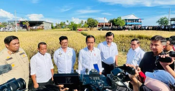 Hari Kedua di Sulsel, Presiden akan Tinjau Panen Padi hingga Smelter