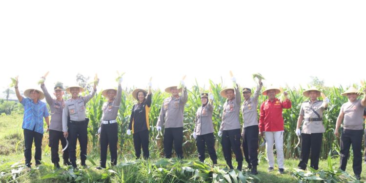Polres Blitar Panen Jagung Manfaatkan Lahan Tidur Dukung Ketahanan Pangan