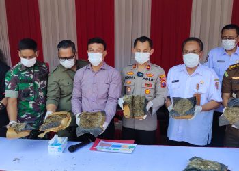 Polres Jember Bersama Forkopimda Musnahkan BB 10 Kg Ganja Hasil Ungkap Jaringan Antar Propinsi