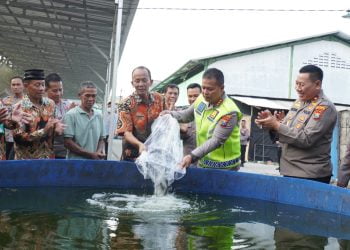 Dukung Ketahanan Pangan, Kapolresta Sidoarjo Tebar 5.000 Benih Ikan Lele