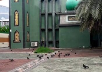 Ratusan Burung Merpati Hiasi Keindahan Masjid Assa’id di Jalan Lombok Makassar